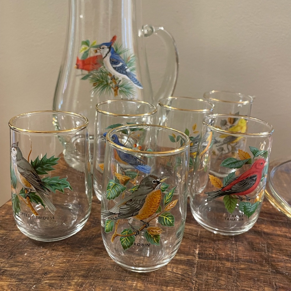 West Virginia Glass-Pitcher set - Elegant Glass Pitcher with song Bird Design